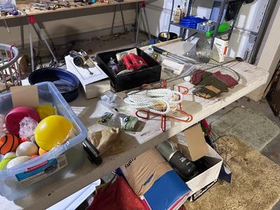 Outdoors and Miscellaneous Lot