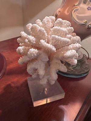 Coral Reef Art