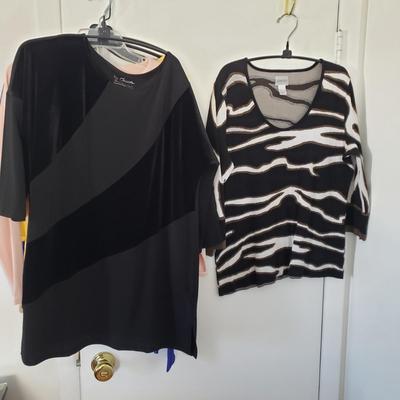 LOT 12Y: (16) Chico's Tops Size 1-2