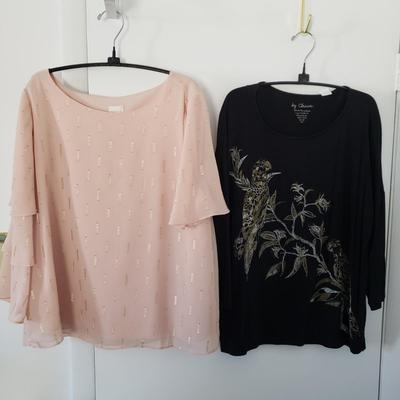 LOT 15Y: (11) New with Tags Chico's Tops