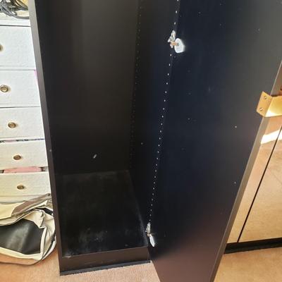 LOT 49Z: 3 Piece Mirrored Standing Closet