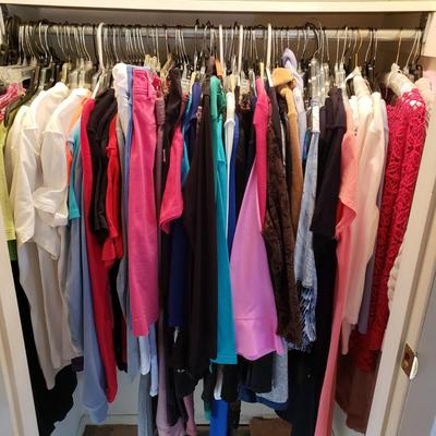 LOT 52Z: Closet Full of 100 Tshirts, Sweatshirts, Pants & More