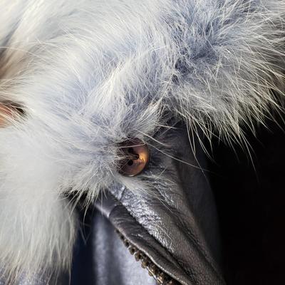 LOT 206Y: Blue Leather Fur Collar Jacket