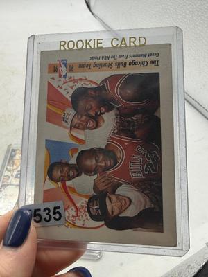 The Chicago Bulls card