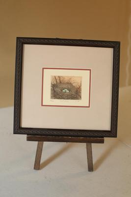 Sale Photo Thumbnail #19: Framed Fine Art Print - Birds nest with eggs