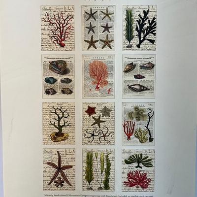 599 Cavallini & Co. 2008 Natural Wonders Posters Wall Calender