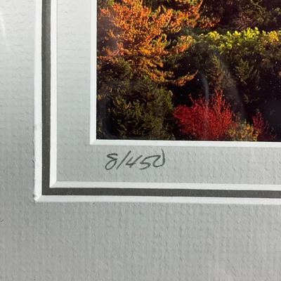 677 Original Digital Photograph By John Gavrilis "Camden Harbor From MT. Battle, ME"