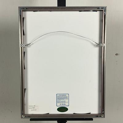 679 Print Of The Journal Of Decoration “Le Journal de la Décoration, Publication Périodique Ornamentation Viennoise” By Otto Prutscher