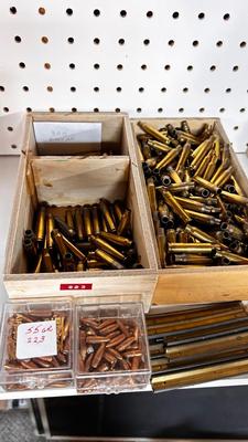 .223 SHELLS, BULLETS AND CLIPS FOR RELOADING