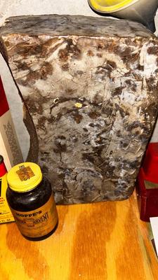 LEE SHOT GUN SHELL RELOADING MACHINE, LARGE WAX BLOCK AND MORE