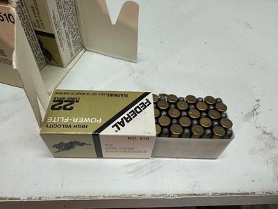 .22 LONG RIFLE AMMO