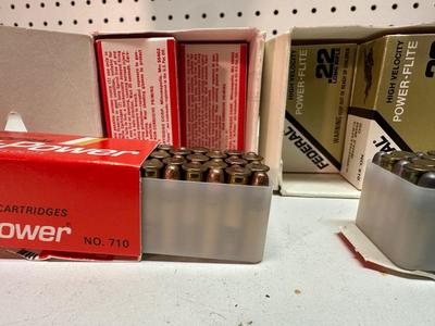 .22 LONG RIFLE AMMO