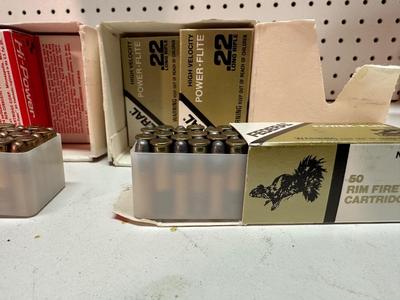 .22 LONG RIFLE AMMO