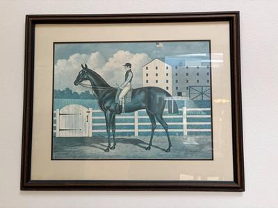 Horse and jockey picture