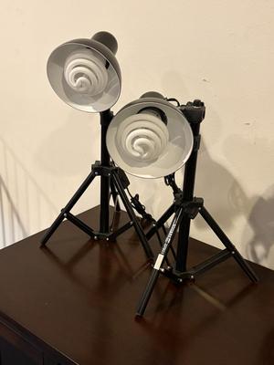 Pair of photography style studio lights