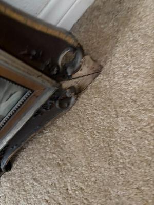 Victorian woman print