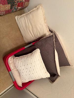 Decorator pillows