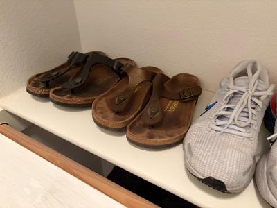 7 pairs of shoes size 8.5