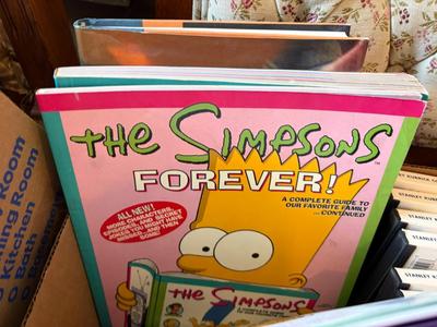 Box Simpsons DVDs and books