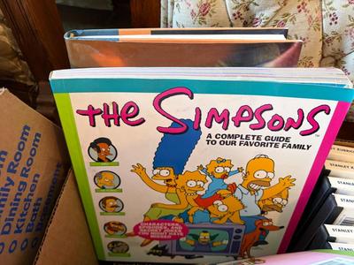 Box Simpsons DVDs and books