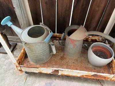 2 vintage galvanized watering cans