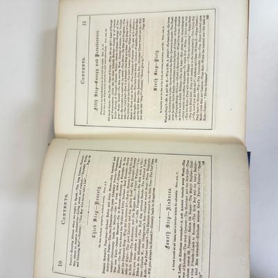 LOT 98: Antique Books: In the Child's World, Household Painting, Six Steps to Honor & More