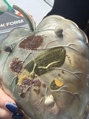 Silver dish, came tips and command hooks