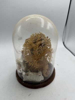 Glass dome with animals-needs animals reattached