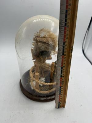 Glass dome with animals-needs animals reattached