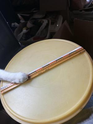 Tupperware with lids