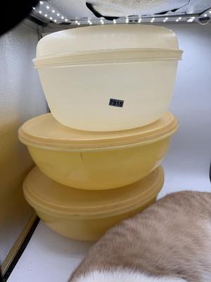 Tupperware with lids