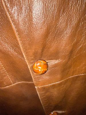 Size 40 leather coat