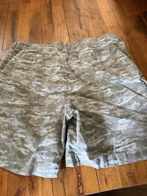 Size 16 LL Bean shorts