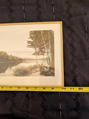 Group of Nature Pictures, One Picture of a Lady.