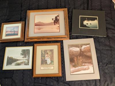Group of Nature Pictures, One Picture of a Lady.