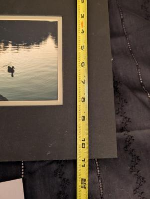 Group of Nature Pictures, One Picture of a Lady.