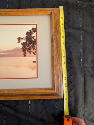 Group of Nature Pictures, One Picture of a Lady.