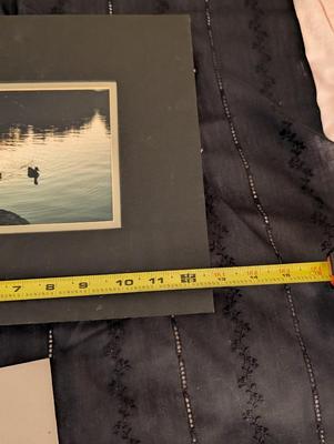 Group of Nature Pictures, One Picture of a Lady.