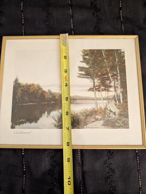 Group of Nature Pictures, One Picture of a Lady.