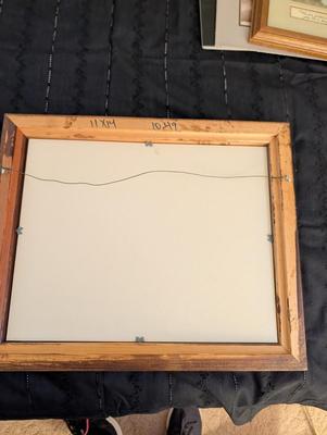 Group of Nature Pictures, One Picture of a Lady.