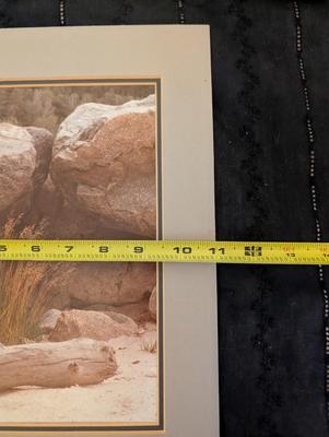 Group of Nature Pictures, One Picture of a Lady.