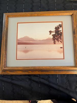 Group of Nature Pictures, One Picture of a Lady.