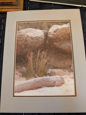 Group of Nature Pictures, One Picture of a Lady.