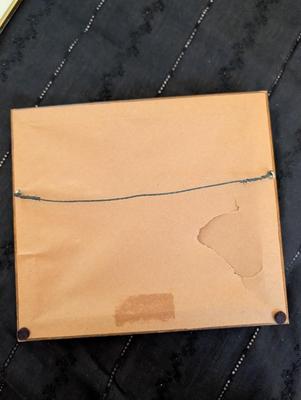 Group of Nature Pictures, One Picture of a Lady.