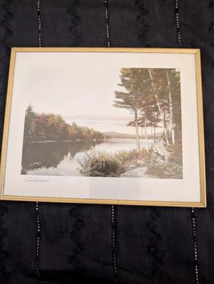 Group of Nature Pictures, One Picture of a Lady.