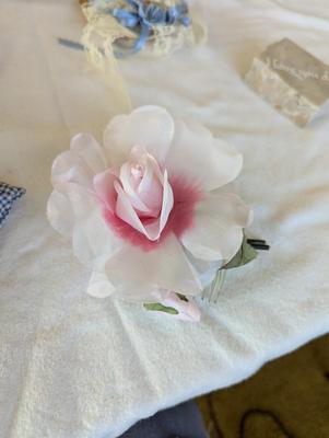 Take a Look At All These Fun Items!