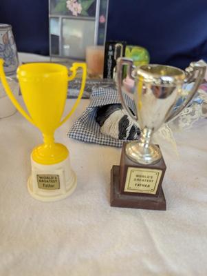 Take a Look At All These Fun Items!