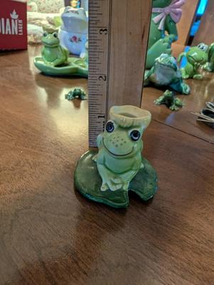 What Do You Call a Group of Frogs?