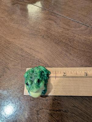 What Do You Call a Group of Frogs?