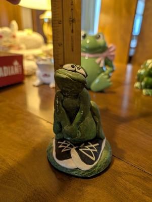 What Do You Call a Group of Frogs?